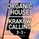 DJ Piri - Krakow Calling 3-3 (Organic House Set) user image