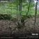 Mor Air (*Camberwell) - 07-Jun-23 user image