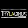 Thylacinus presents DJ EC1 'Old School Hip Hop Volume 2' (Vinyl Only) user image