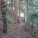 Balade en forêt de Valjouffrey avec Luc Roudet garde ONF user image