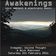 Awakenings - 5 February 2011, Set 3 Endgame user image