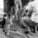 pictures.of.you - VII stagione - Gattini! - 12-02-2019 user image
