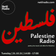 Palestine Radio pt2 - poetry, live music and allies for Palestine - 31st October 2023 user image