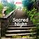 Sacred Night user image