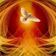 Pentecost Sunday Joy 28th May 2023 user image