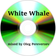 White Whale user image