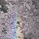 petit ciel en arc bas (springtale) user image