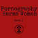Episode 13 - Pornography Harms Women, Part 1 - Women's Waves: A Podcast by Vancouver Rape Relief user image