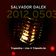 Day 055.09 : Salvador Dalek Live (2012_0503) at Tripnotic.fm user image