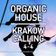 DJ Piri - Krakow Calling 4-4 (Organic House Set) user image