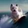 Flashback Gold - 60s Surfin' user image