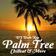 Palm Tree Chillout & More user image
