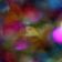 Garethcetamol - Caplet One user image