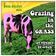 "Grazing in the Grass": 24 Versions by 24 Artists user image