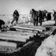 Souvarine, Cauchemar en URSS [Partie 2] user image