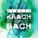 Plaste - Live @ Krach am Bach Festival 2014 user image
