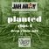 Jah Army Highwear pres. Wiley - Planted Chpt. I (Deep Roots Mix) user image