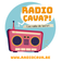 Radio CAVA?! Live in Gooik (Stelplaats Leerbeek) Deel 1 user image