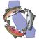 Healthy Fire, Healthy Fish: Fates Intertwined, Strategies Aligned user image