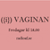 140514 I vaginan: Silvana Imam och Nordiskt Forum user image