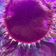 20180822 2200 Weather Modification Day 6 user image