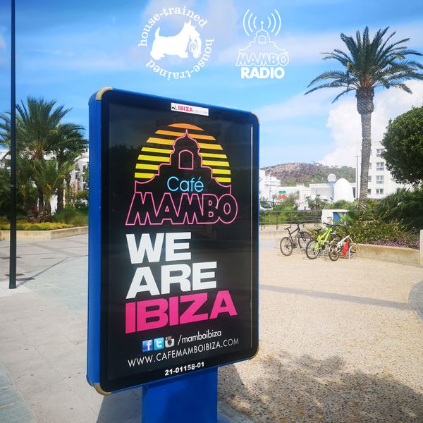 Café Mambo Radio Ibiza - House Trained Show Episode 54 (09/04/21) by House  Trained | Mixcloud