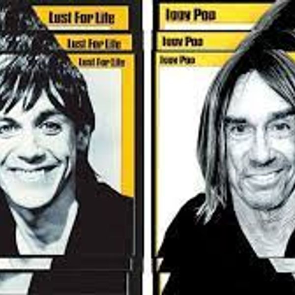 Iggy pop lust for life. Как выглядит шедоурейз музыкант.