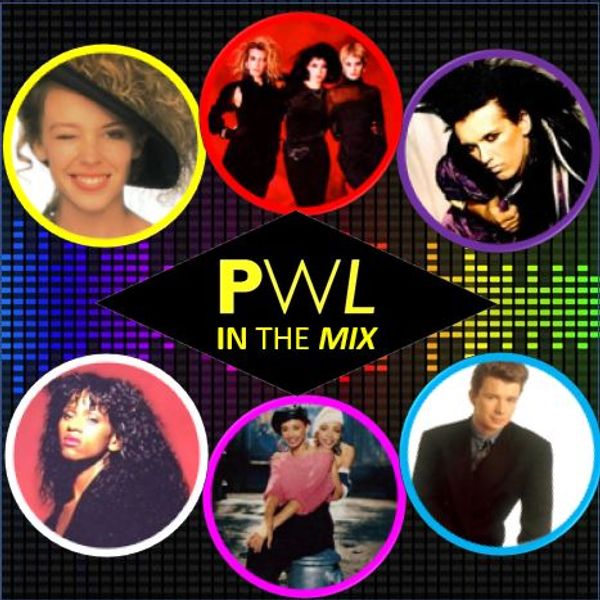 Reposters of THE HIT FACTORY : PWL IN THE MIX (STOCK AITKEN