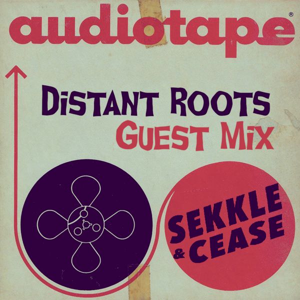 Дистанционное образование для школьников. Дистанционное обучение школьники. Иркутский дистант. Институт дистант. Компьютер для детей.