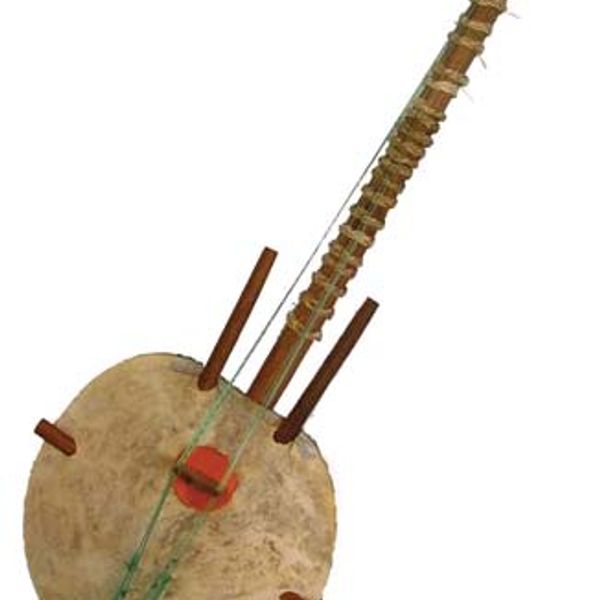 Музыкальный инструмент кора картинки