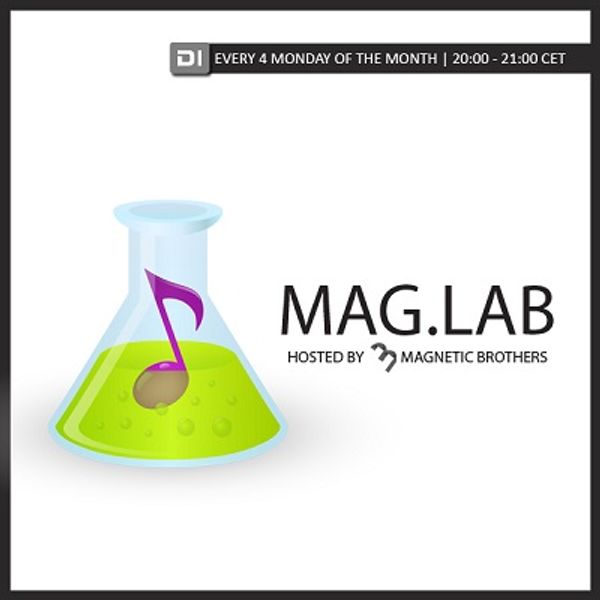 Lab 21 studio. Magnetic brothers купить. Lab 43.2.5 цвет.