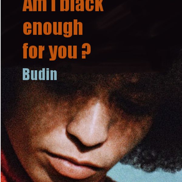 am i black enough for you book