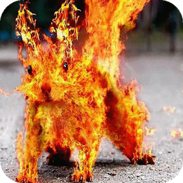 Burning squirrel 2015 set 2, by DJ Koollaid listeners | Mixcloud