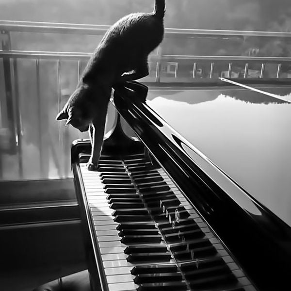 Neoclassical piano deals