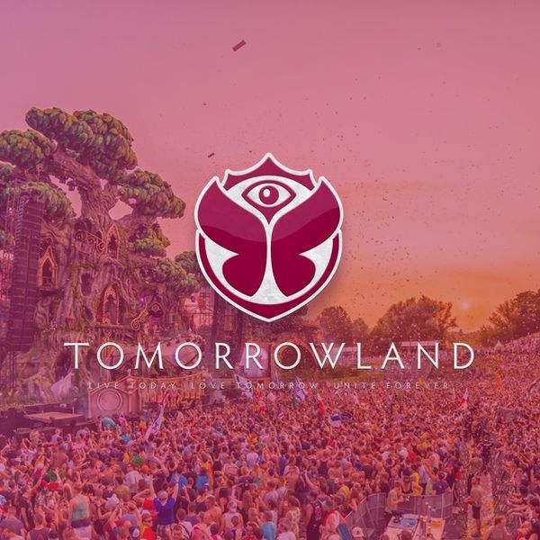 Timmy Trumpet  Tomorrowland Belgium 2019 - W1 on Make a GIF