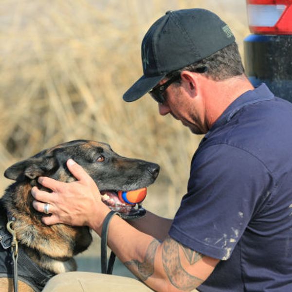 Mike ritland dog training top