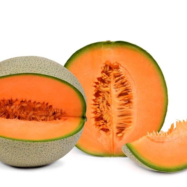 красная дыня. оранжевая дыня. дыня карамелька f1. сорта дыни канталупа. дыня сорт оранж.