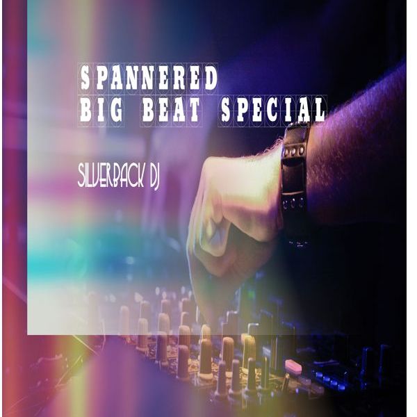 Spannered Big Beat Special Silverback Dj By Futurhood Av - 