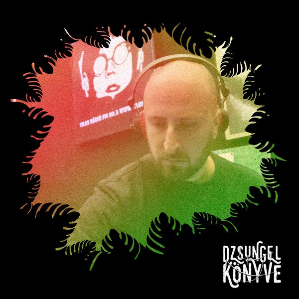 Dzsungel Könyve