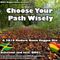 Choose Your Path Wisely - a 2019 modern roots reggae mix by BMC