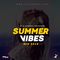 Summer Vibes Mix 2019 - Dj S-kam Zac