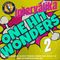 One Hit Wonders Vol. 2