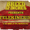 Breed 12 Inches Demolition Room Mix 002 - Telekinesis