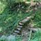 The Green Path / 27th March 2023