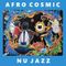DJ Rosa from Milan - Afro Cosmic Nu Jazz