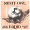 Night Owl Radio 355 ft. Paul van Dyk and Infected Mushroom