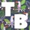 Tropical Beats Radio Feat. Orkestra Mendoza, Afriquoi, Doble Redoble, Kensaye, Bubas Produçoes