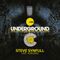 Underground - Steve Synfull - LIVE @ Milk Bar - Denver