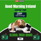 Tom Flannery - Good  Morning Ireland-27.08.2022