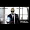 Dj Cool (The Real) - Pitbull Megamix Part 2